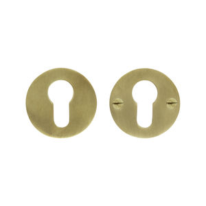 brushed brass escutcheon