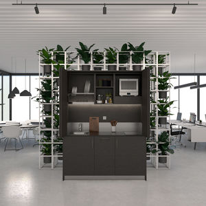hidden kitchenette