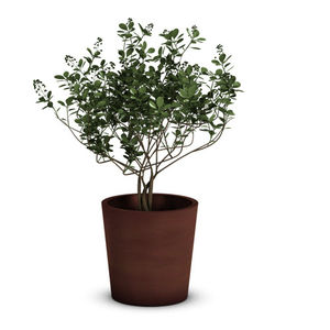 galvanised steel planter