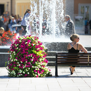 galvanized steel planter