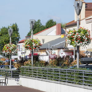 galvanised steel lamp post planter 1