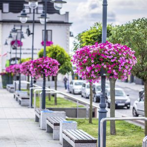 galvanized steel planter / illuminated / contemporary / for public spaces