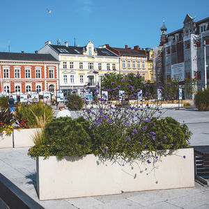 concrete planter