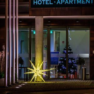LED Christmas lights 1
