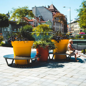 public bench with integrated planter