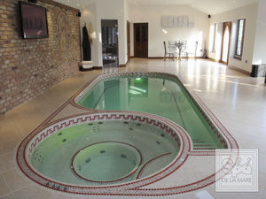 built-in swim spa