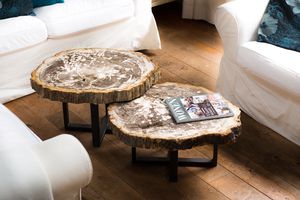 contemporary coffee table / petrified wood