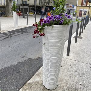 concrete plant pot