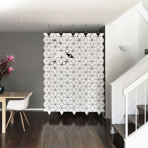 removable partition 1
