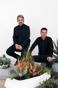 concrete planter