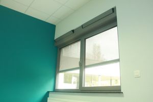 roller blinds