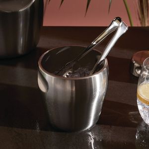 stainless steel ice bucket