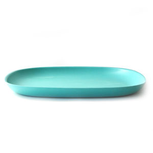dinner plate