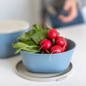 bioplastic storage box