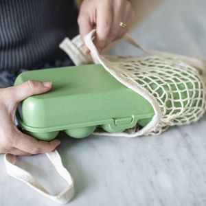 thermoplastic storage box