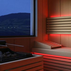 home sauna / wooden / for outdoor use