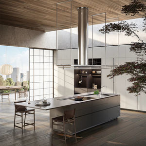 contemporary kitchen 1