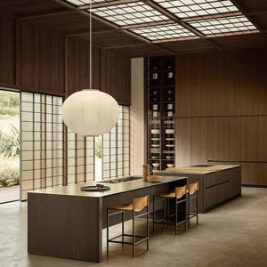 contemporary kitchen 1