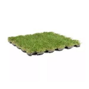 extensive green roof
