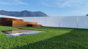 extensive green roof