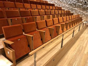 contemporary auditorium seating / fabric / plywood / with headrest