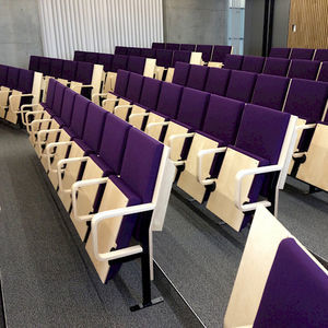 contemporary auditorium seating