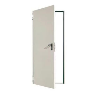 entry door 1