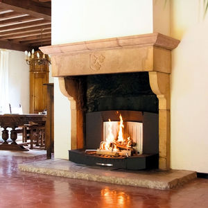 wood-burning fireplace insert 1