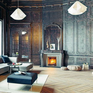 wood-burning fireplace insert