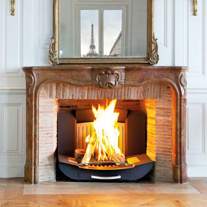 wood-burning fireplace insert