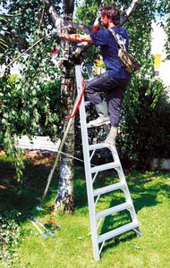 leaning professional ladder 1