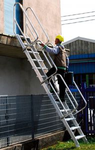 access professional ladder