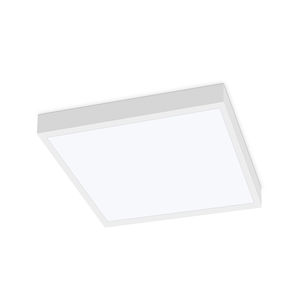 surface-mounted light fixture