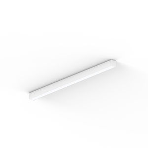 surface-mounted light fixture