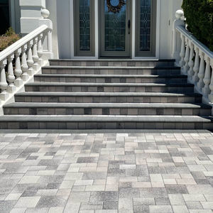 stone paving slab 1