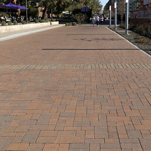 stone paver 1
