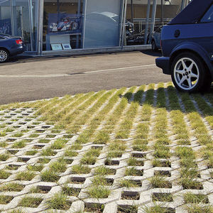 concrete grass grid