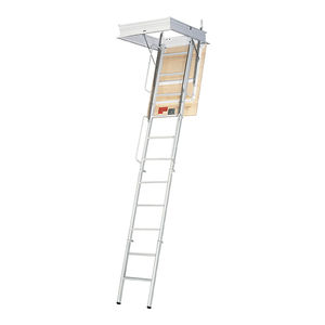 attic ladder
