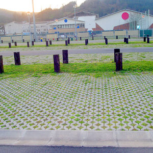 concrete grass grid