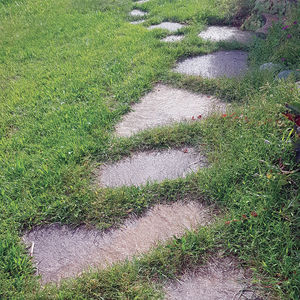 cement paver 1