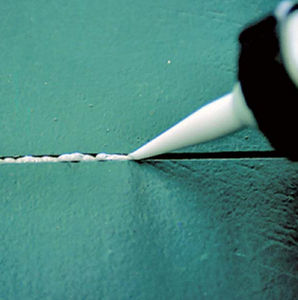 elastomeric sealer