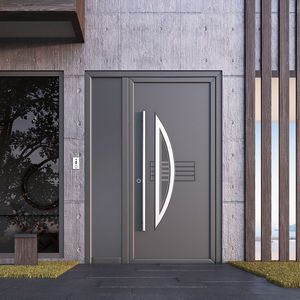 entry door 1