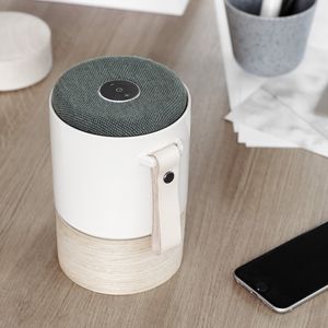 wireless speaker