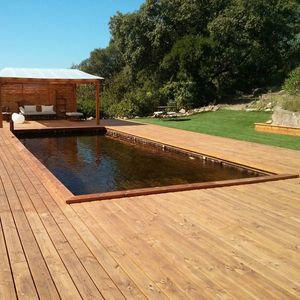 natural swimming pool