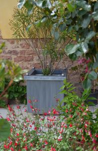 zinc Versailles planter