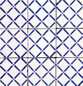 indoor tiles / wall / floor / terracotta