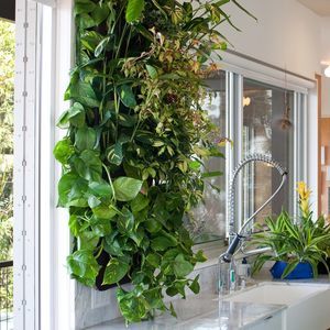living wall with live plants