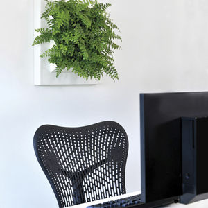 living frame with live plants
