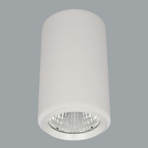 surface mounted downlight