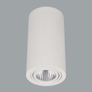 surface mounted downlight 1